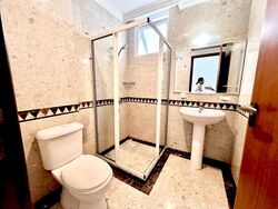 The Balmoral Spring (D10), Apartment #497784971